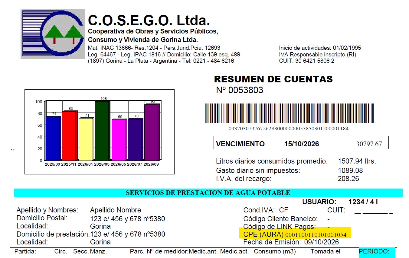 Ubicación del CPE en la boleta